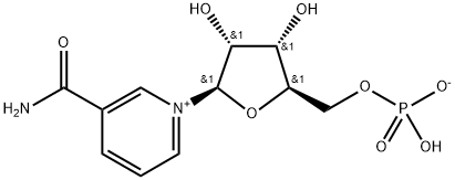 β-nikotinamid mononükleotid