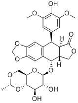 Etoposid
