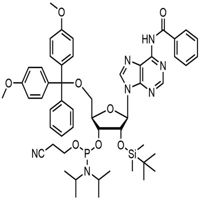 N-benzoil-5'-O-(4,4-Dimetoksitritil)-2'-O-[(tert-butil)dimetilsilil]adenozin-3'-(2-siyanoetil-N,N-diizopropil)fosforamidit