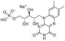 Riboflavin 5'-Monofosfat natrium duzu