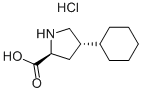 trans-4-Sikloheksil-L-prolin hidroxlorid